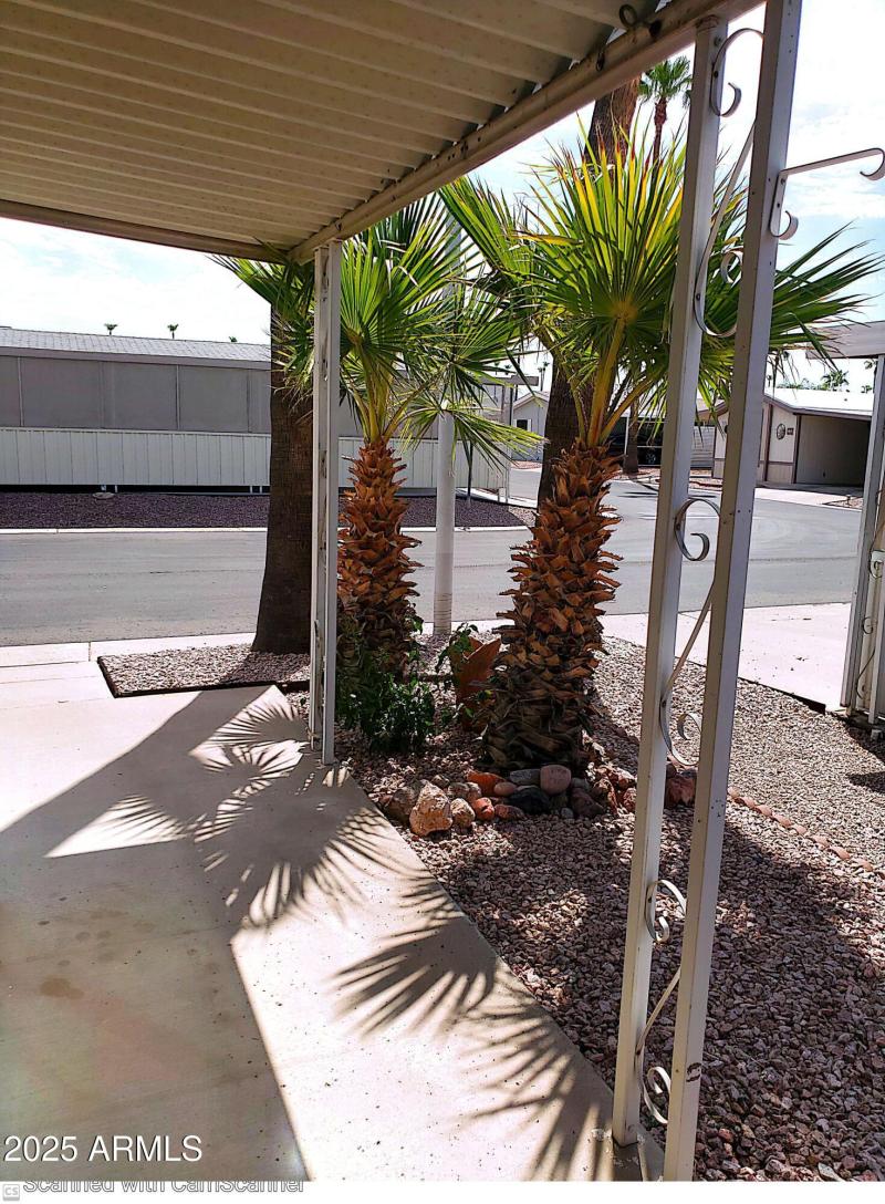 #150 beautiful palms(1)