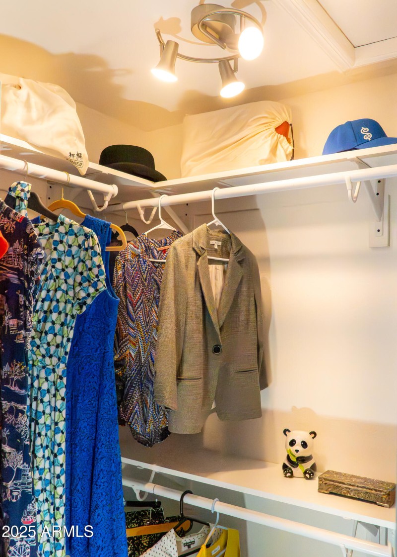 Primary Closet 2