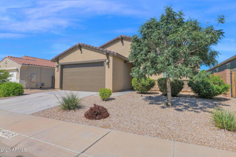 41-web-or-mls-P1314629