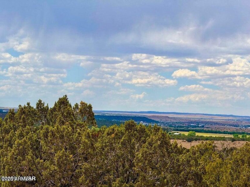 20250901071324563740000000-o