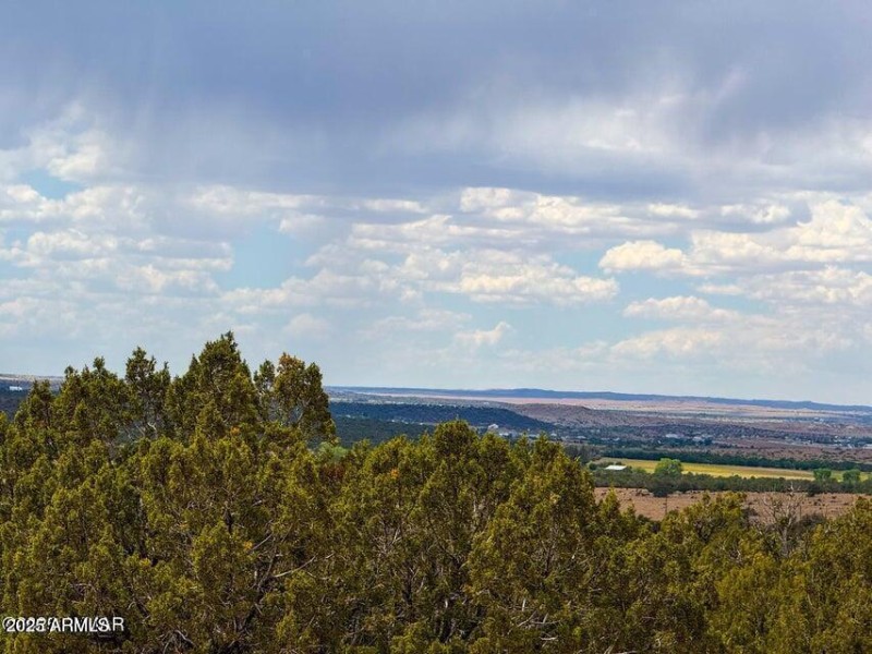 20250901071500318723000000-o