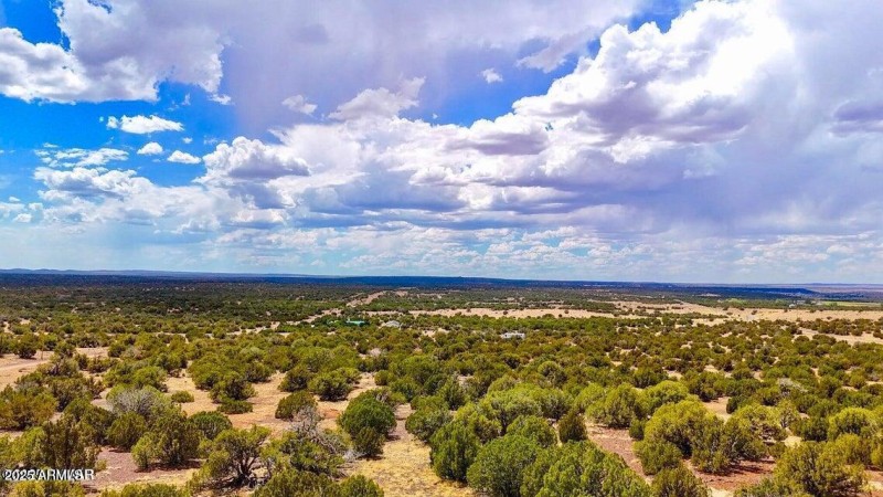 20250901071550014261000000-o