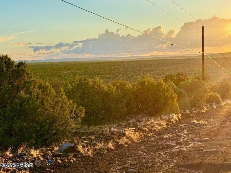 20250926071827491351000000-o