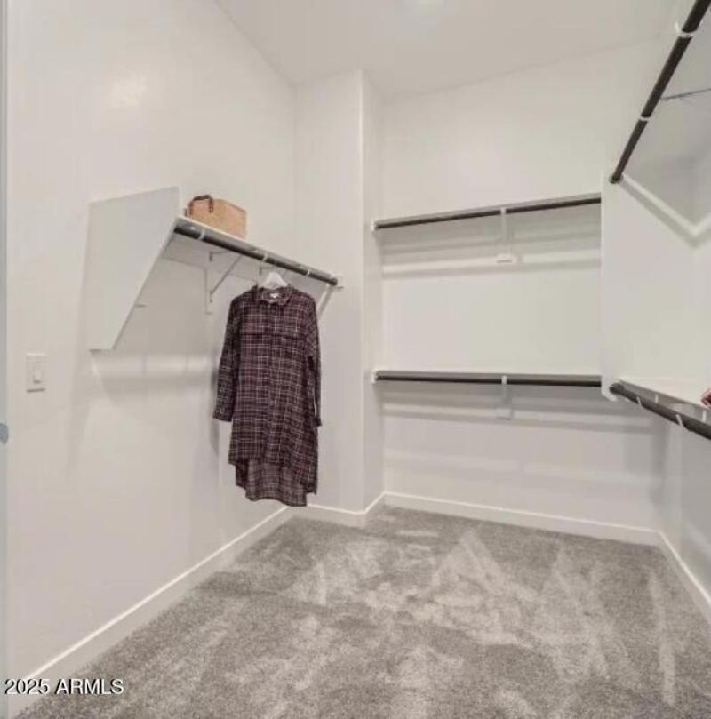 Owners Walk in Closet