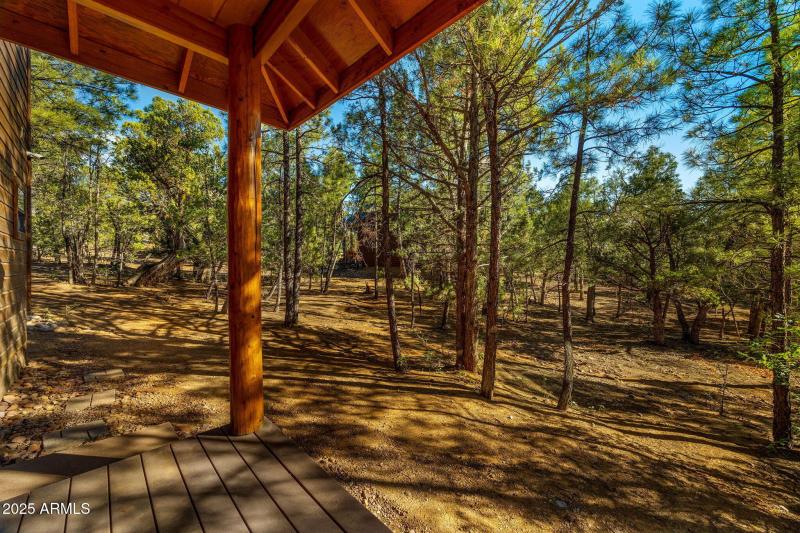 1600SVineMapleLn-ShowLow-AZ-26