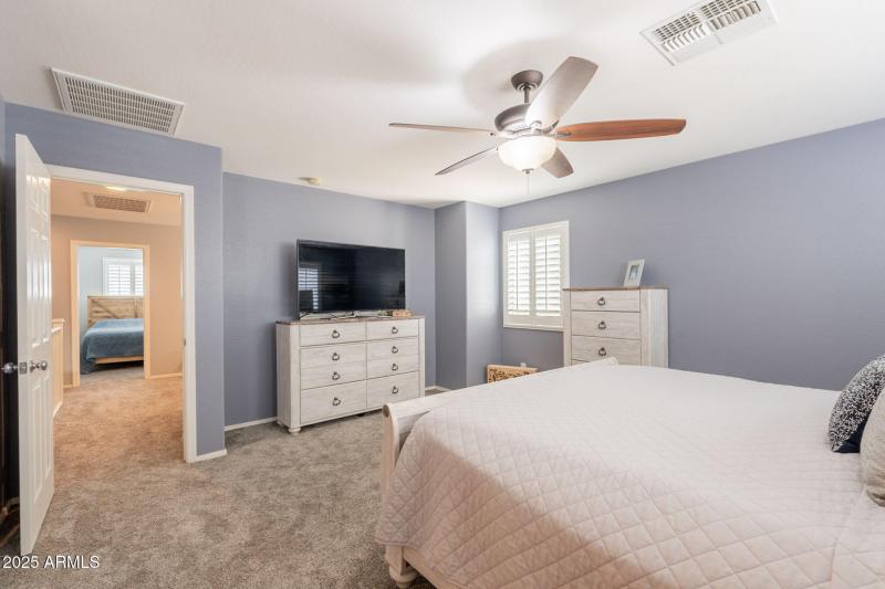 19-web-or-mls-Trellis-19