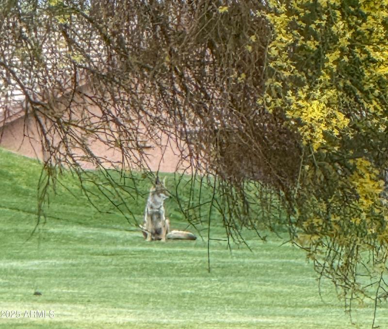 MOUNTAINBROOK VISITORS