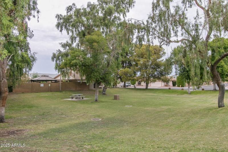 A) COMMUNITY GREEN SPACES