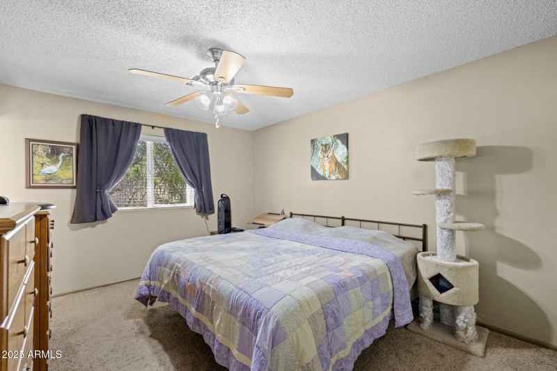 13)PRIMARY BED