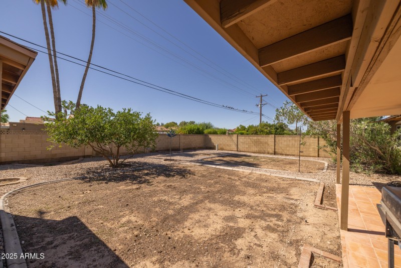 23)BACKYARD