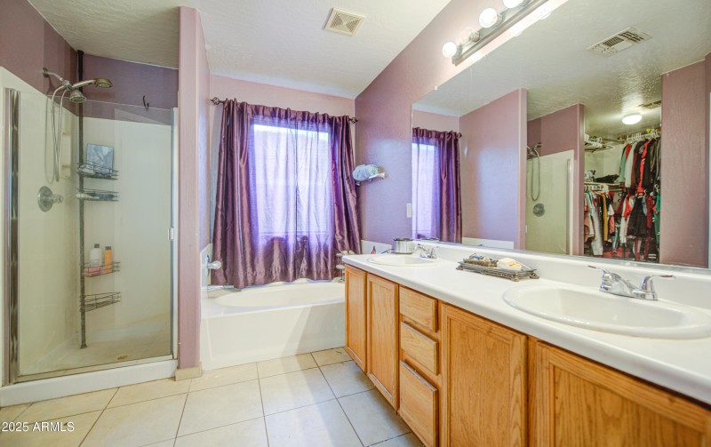 Primary Bath 2