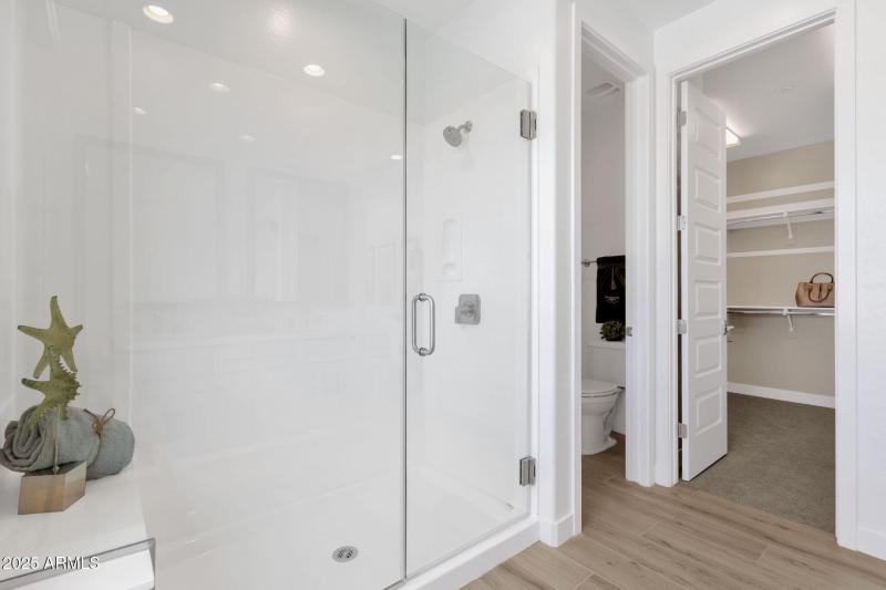 38-web-or-mls-
