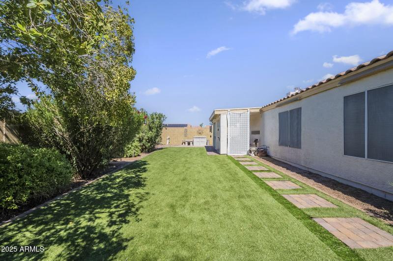 Backyard