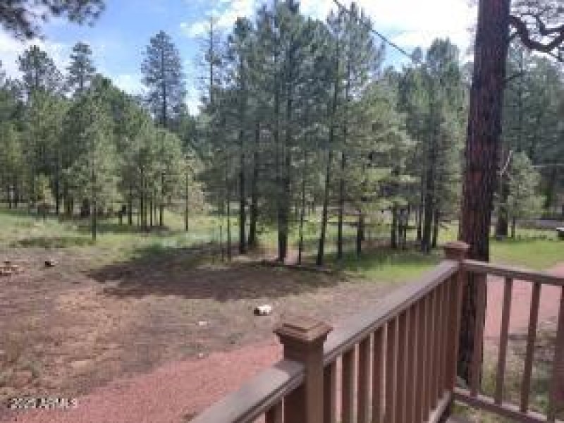 Gorgeous Pine Views