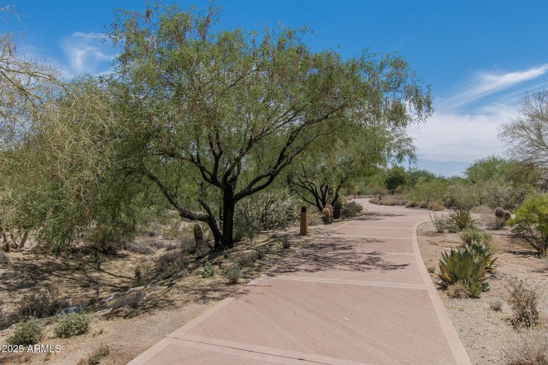 G) WALKING PATHS