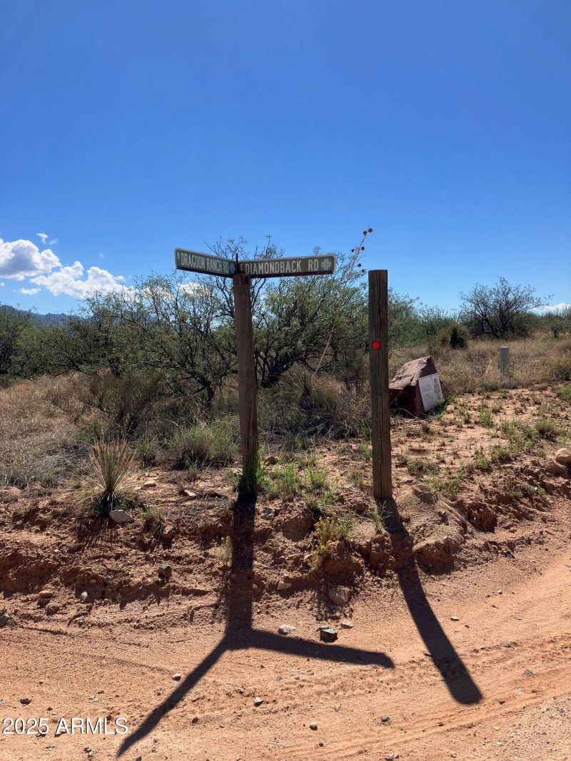 Dragoon Mountain Ranch Rd - Diamondback