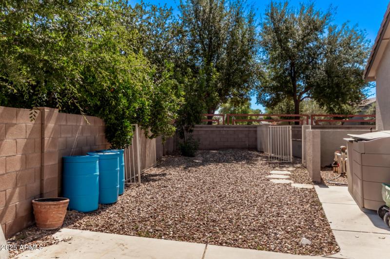 Side Yard