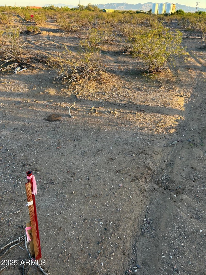 WhatsApp Image 2025-10-02 at 7.03.28 PM