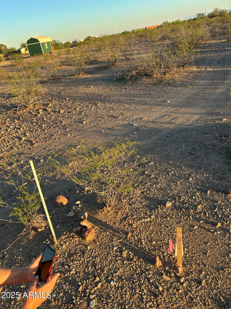 WhatsApp Image 2025-10-02 at 7.03.27 PM