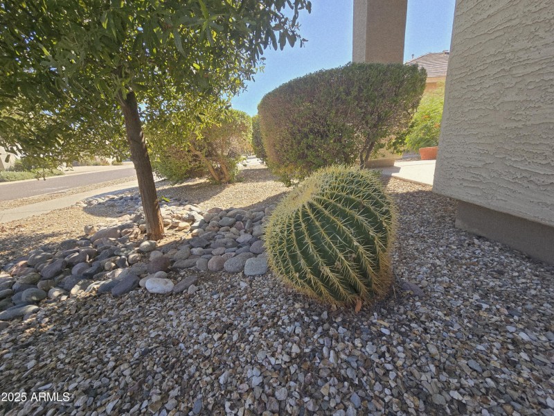 Front yard