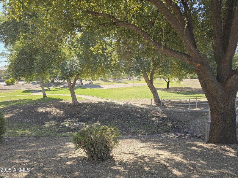 Playground Area