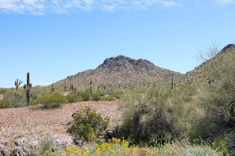 Estrella 9655 S San Marcos E - Lot 17