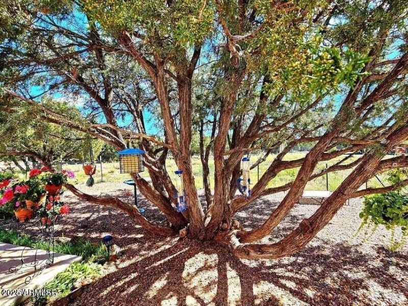 3N - Beautiful front garden