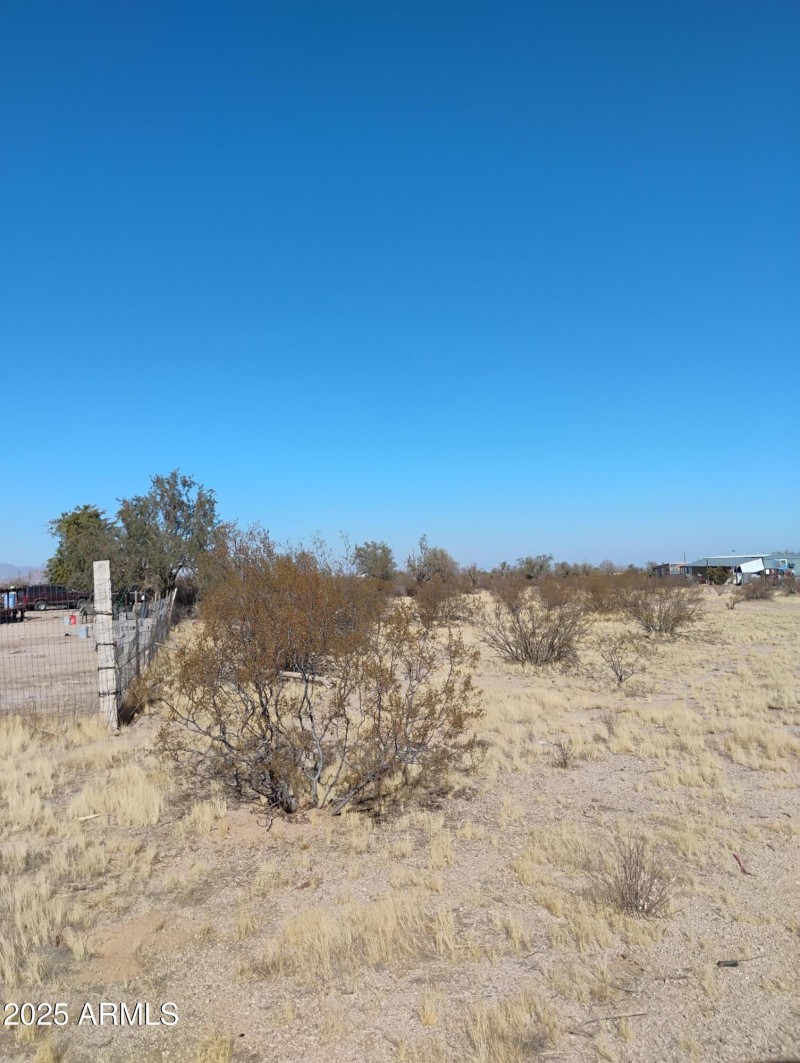 IMG_20250117_131413633