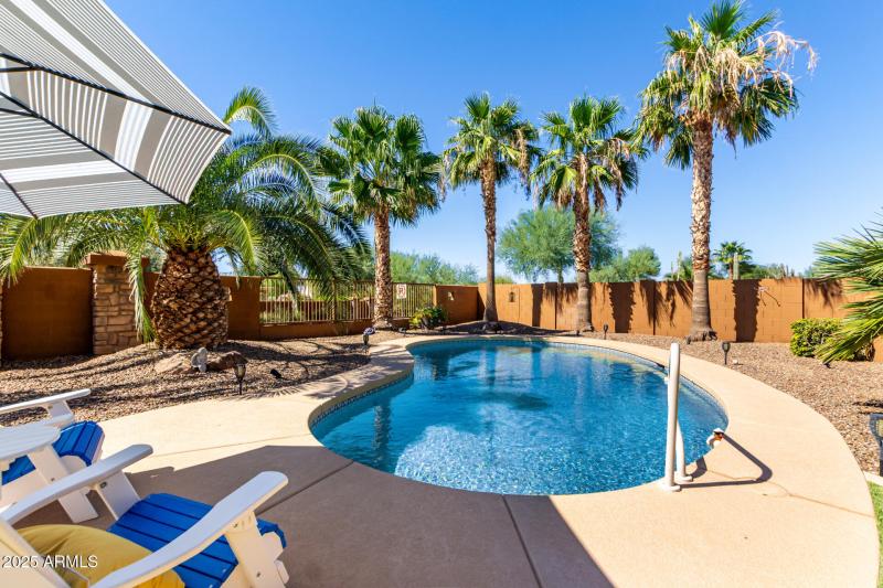 Beautiful Pool