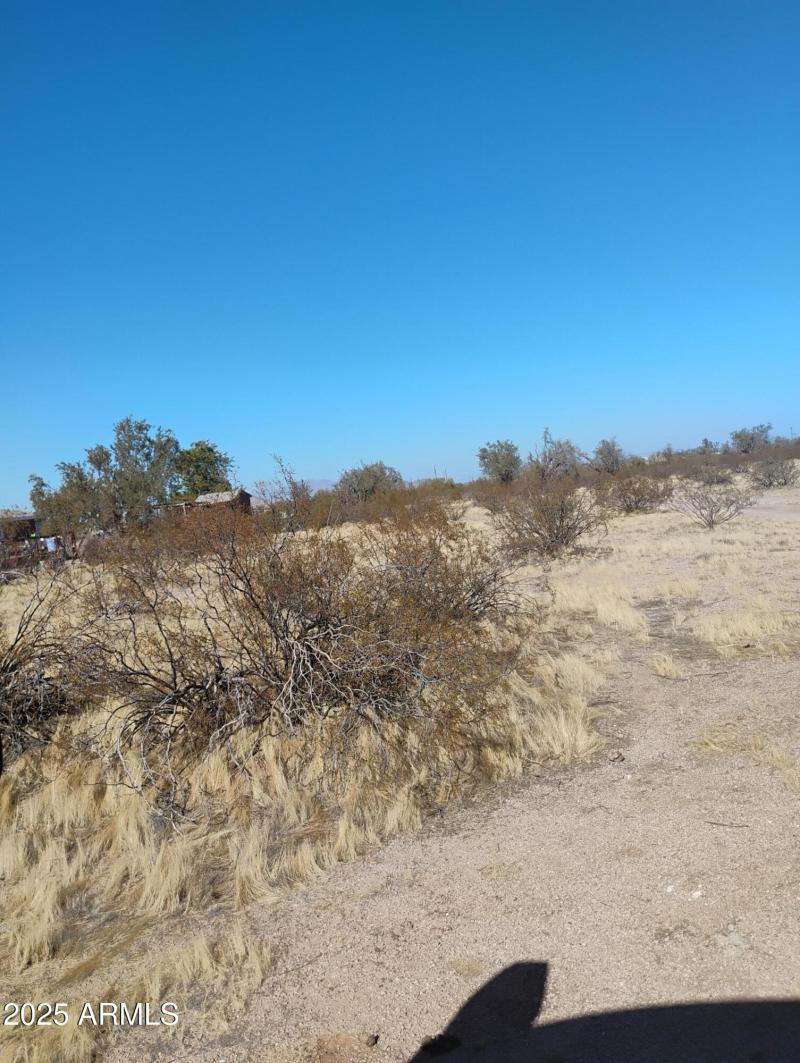 IMG_20250117_131354469