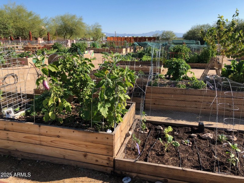 Community Garden