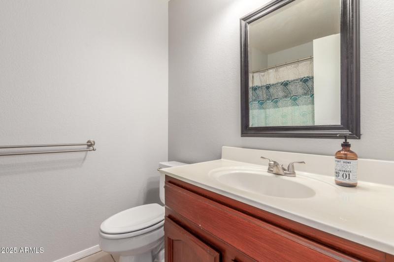 24 Coopers Hawk