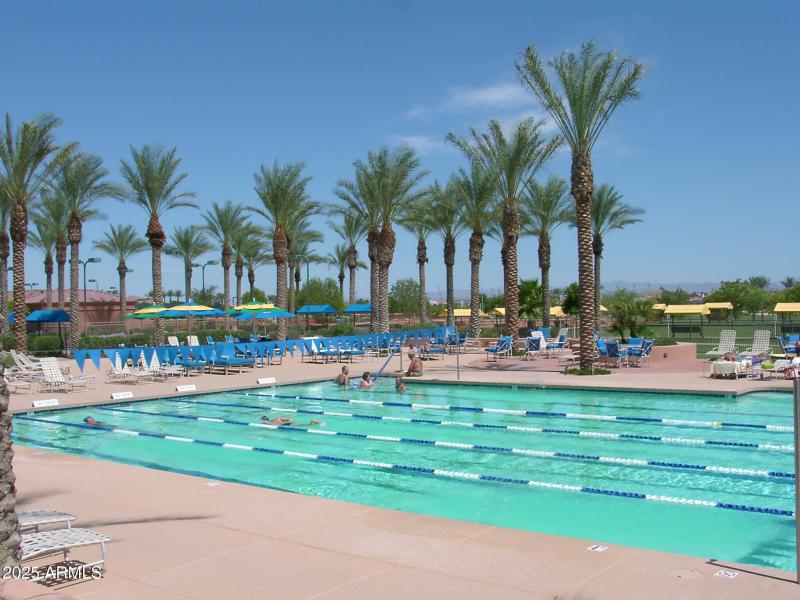 Adobe Lap Pool