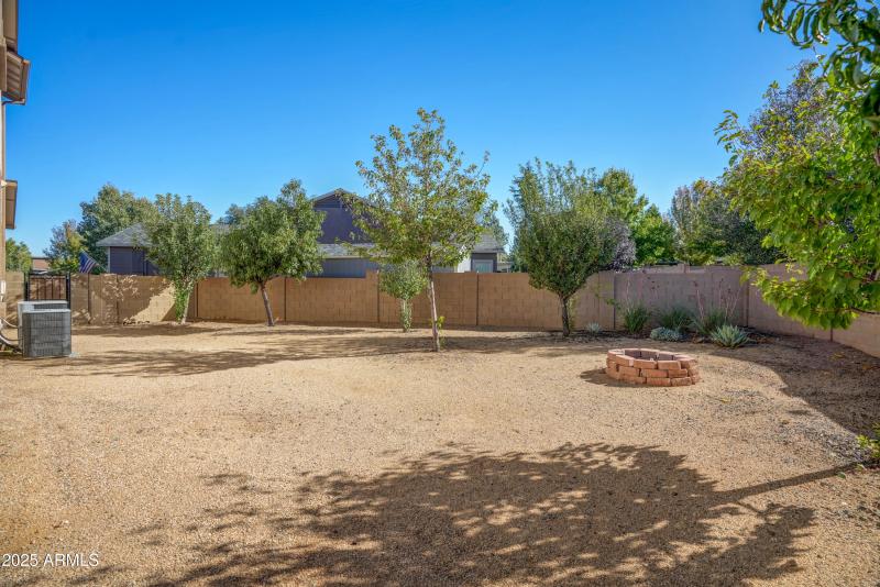 Back Yard 1