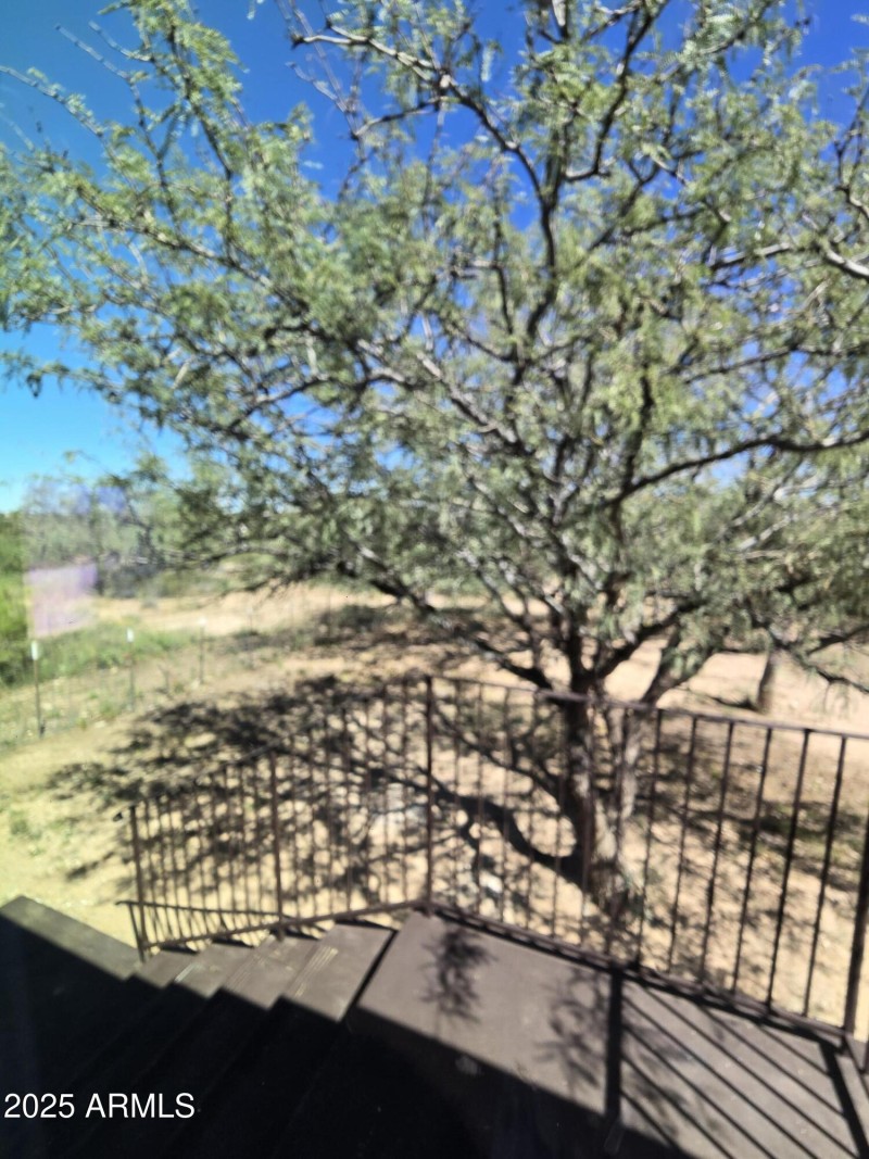 fenced in back yard
