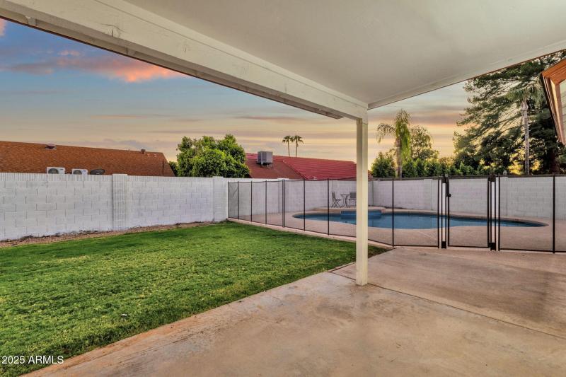Backyard