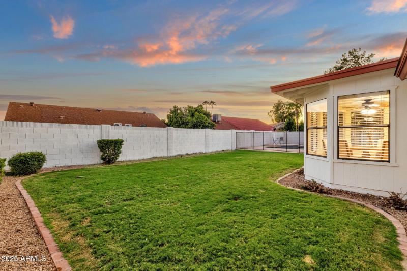 Backyard