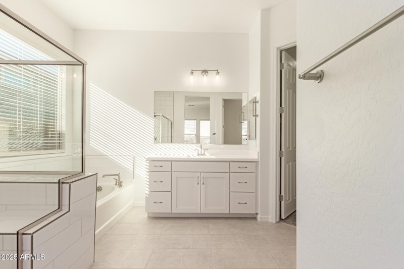 Primary Bathroom View C