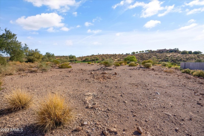view from north of lot looking south