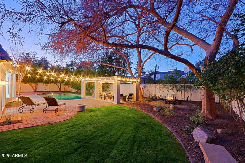 Grassy backyard