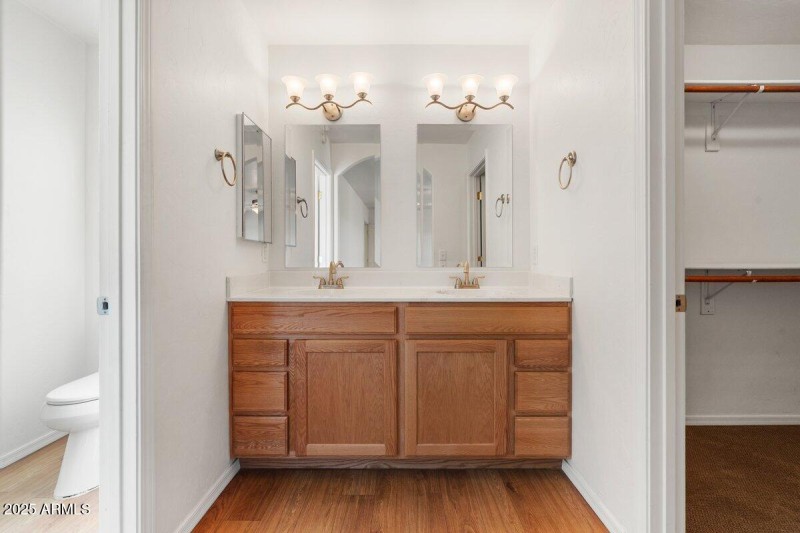 Primary Bathroom Vanity