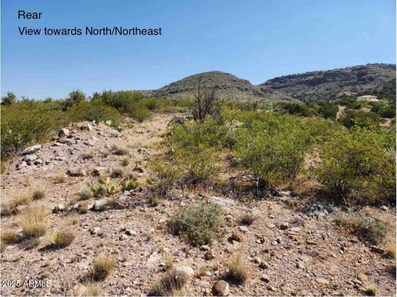 02 - 13xx N Page Spring Road - Rear Nort