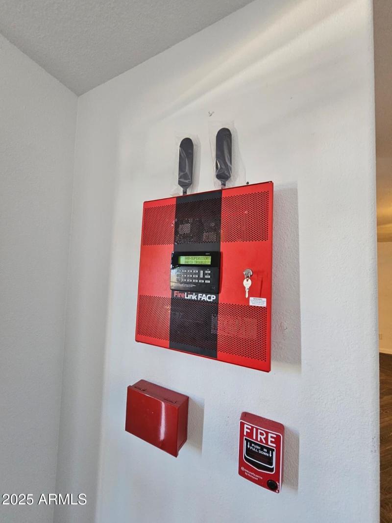 WhatsApp Image 2025-10-02 at 8.38.01 AM