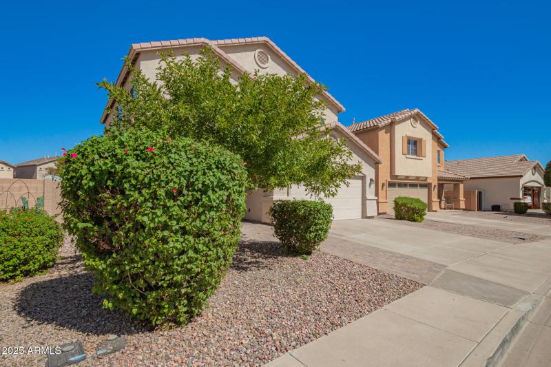 Low maintenance yard