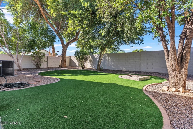 Backyard 3