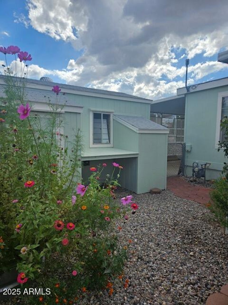 Backyard/shed