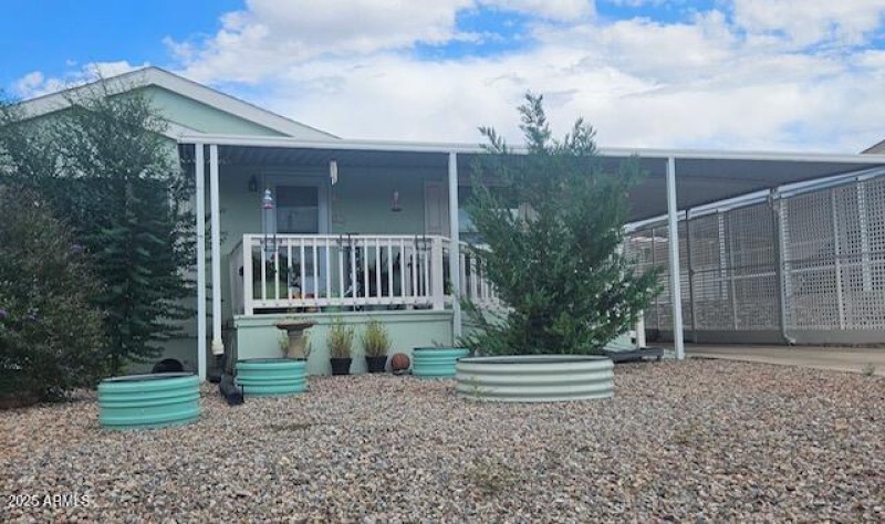 Frontyard