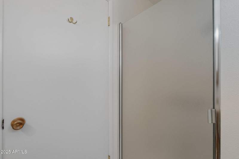 Master shower