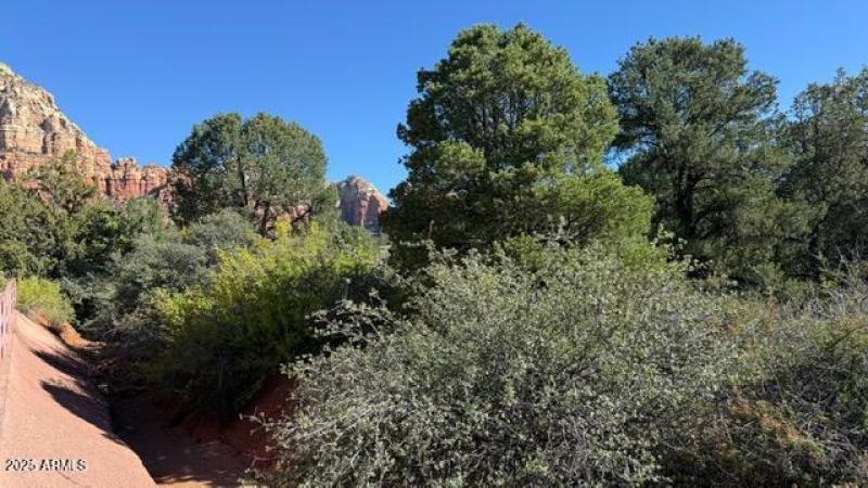 IMG_1974