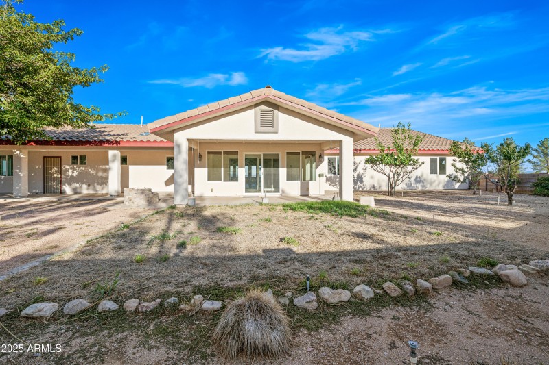 5 Backyard - 2